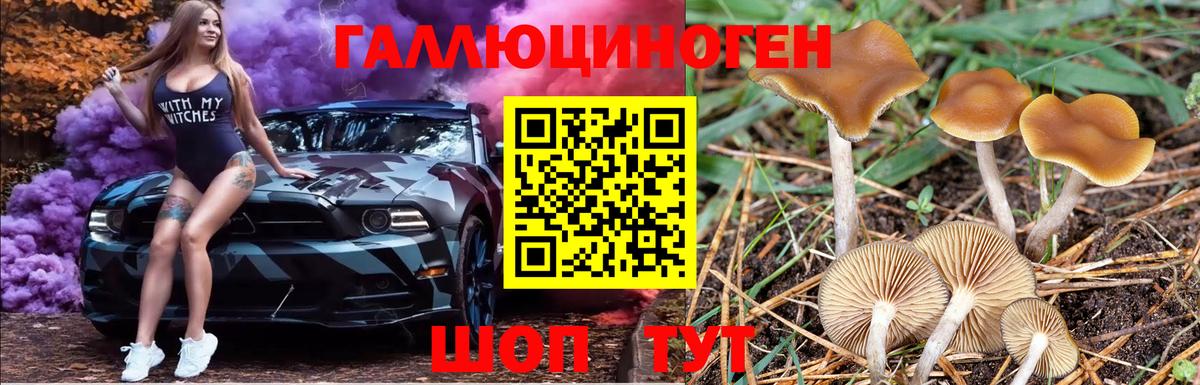 Узловая  Галлюциногенные грибы мицелий  Галлюциногенные грибы Psilocybine cubensis  Вход с VPN 