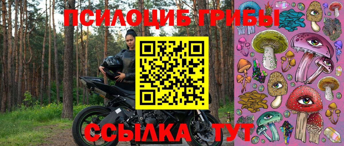 Псилоцибиновые грибы GOLDEN TEACHER Узловая